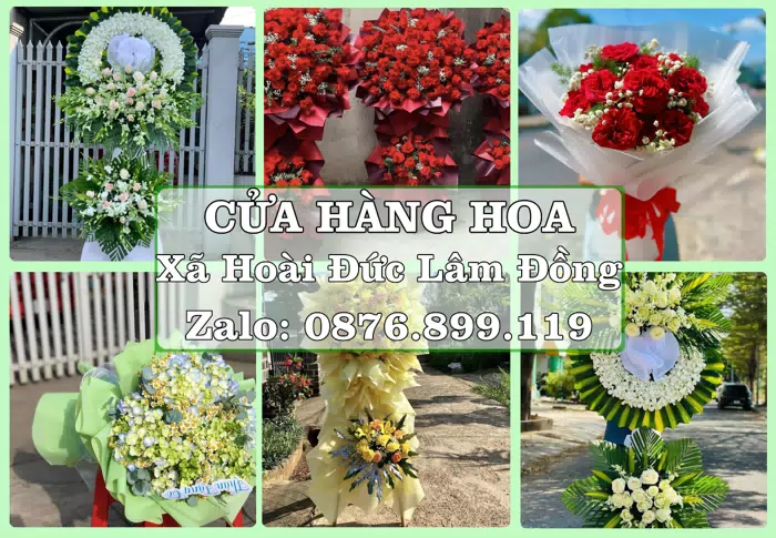 Shop hoa tươi tại Xã Hoài Đức Lâm Đồng – Hoa chúc mừng, quà biếu theo nhu cầu · ảnh 1