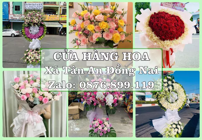 Shop hoa tươi tại Xã Tân An Đồng Nai – Gửi lời quan tâm bằng hoa và trái cây · ảnh 1