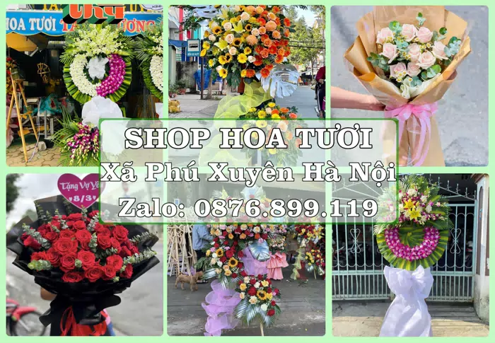 Shop hoa tươi tại Xã Phú Xuyên Hà Nội – Gửi lời quan tâm bằng hoa và trái cây · ảnh 1
