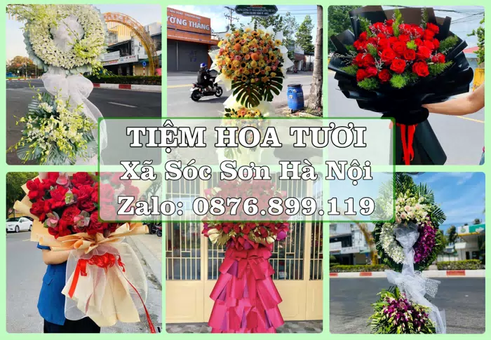 Shop hoa tươi tại Xã Sóc Sơn Hà Nội – Món quà chỉn chu từ những điều nhỏ · ảnh 1