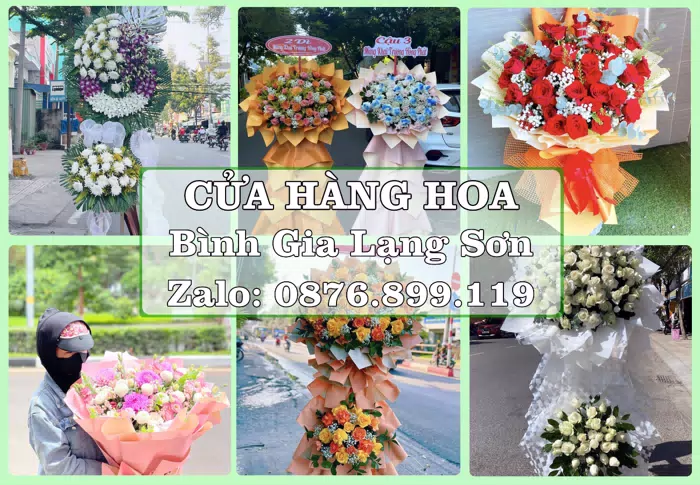 Shop hoa tươi tại Bình Gia Lạng Sơn – Gửi lời quan tâm bằng hoa và trái cây · ảnh 1