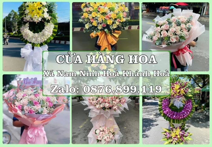Shop hoa tươi tại Xã Nam Ninh Hoà Khánh Hoà – Hoa tươi và trái cây, dễ chọn theo từng dịp · ảnh 1