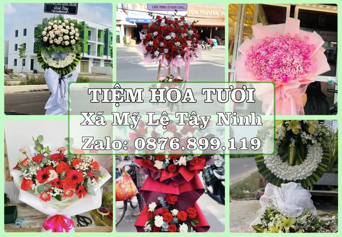 Shop hoa tươi tại Xã Mỹ Lệ Tây Ninh – Hoa tươi và trái cây, dễ chọn theo từng dịp · ảnh 1