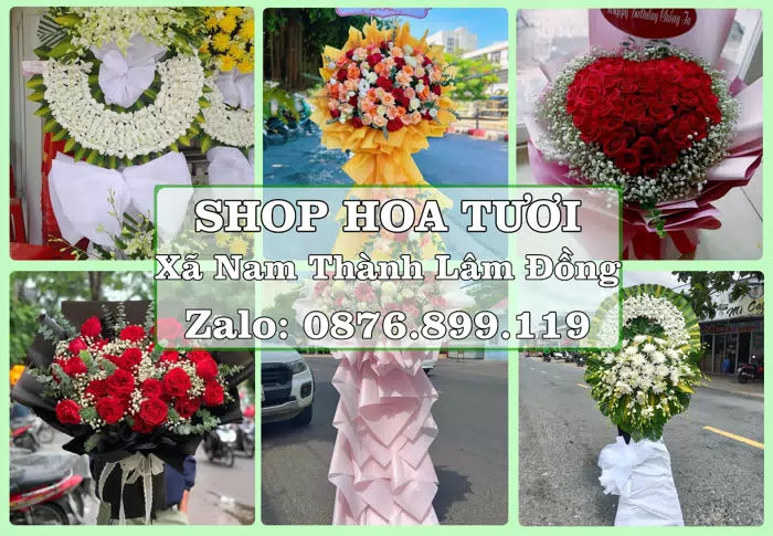 Shop hoa tươi tại Xã Nam Thành Lâm Đồng – Hoa tươi và trái cây, dễ chọn theo từng dịp · ảnh 1