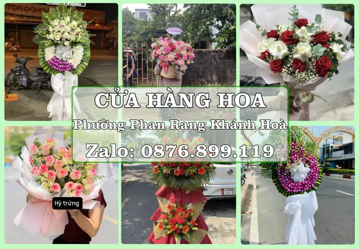 Shop hoa tươi tại Phường Phan Rang Khánh Hoà – Tư vấn hoa và trái cây theo ngân sách · ảnh 1