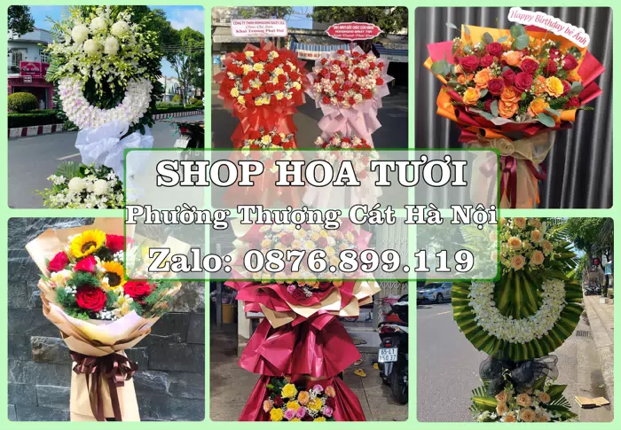 Shop hoa tươi tại Phường Thượng Cát Hà Nội – Tư vấn hoa và trái cây theo ngân sách · ảnh 1