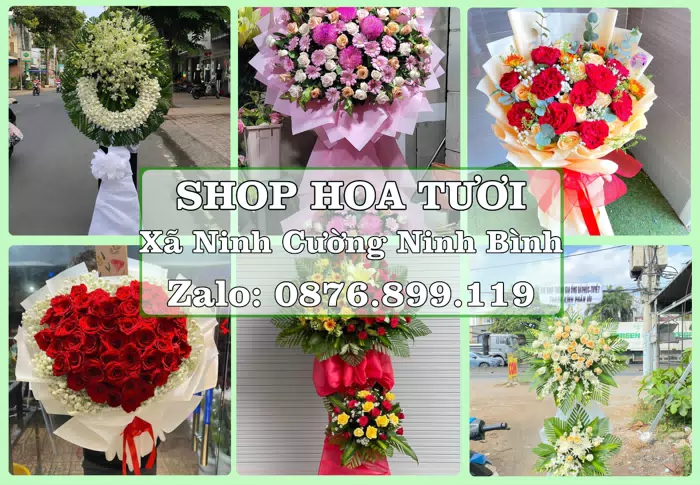Shop hoa tươi tại Xã Ninh Cường Ninh Bình – Tìm món quà hợp dịp, hợp người nhận · ảnh 1