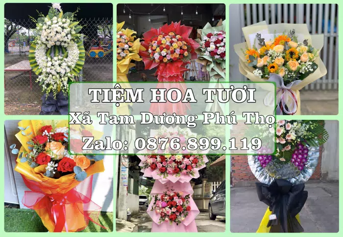 Shop hoa tươi tại Xã Tam Dương Phú Thọ – Gửi lời quan tâm bằng hoa và trái cây · ảnh 1