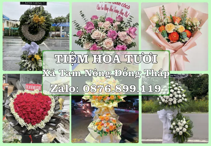Shop hoa tươi tại Xã Tam Nông Đồng Tháp – Chọn hoa, chọn giỏ quà thật chu đáo · ảnh 1