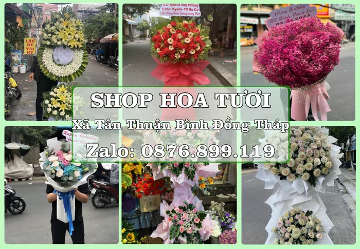 Shop hoa tươi tại Xã Tân Thuận Bình Đồng Tháp – Tư vấn hoa và trái cây theo ngân sách · ảnh 1