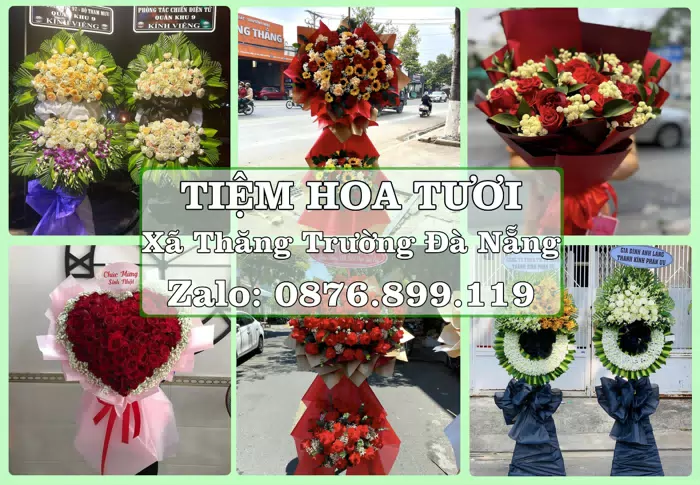Shop hoa tươi tại Xã Thăng Trường Đà Nẵng – Tư vấn hoa và trái cây theo ngân sách · ảnh 1