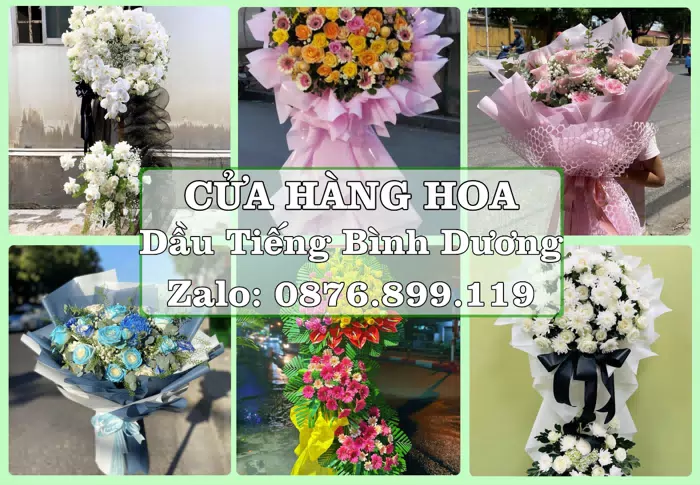 Shop hoa tươi tại Dầu Tiếng Bình Dương – Gửi lời quan tâm bằng hoa và trái cây · ảnh 1