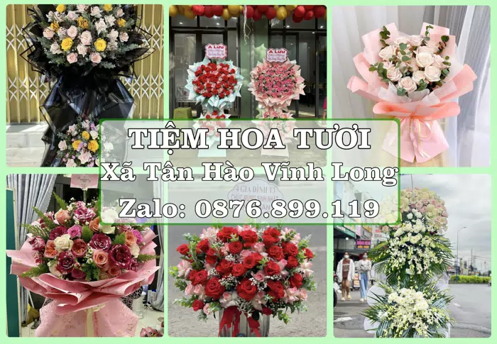Shop hoa tươi tại Xã Tân Hào Vĩnh Long – Hoa xinh, trái cây cho những dịp gần gũi · ảnh 1