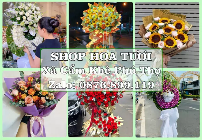 Shop hoa tươi tại Xã Cẩm Khê Phú Thọ – Gửi lời quan tâm bằng hoa và trái cây · ảnh 1