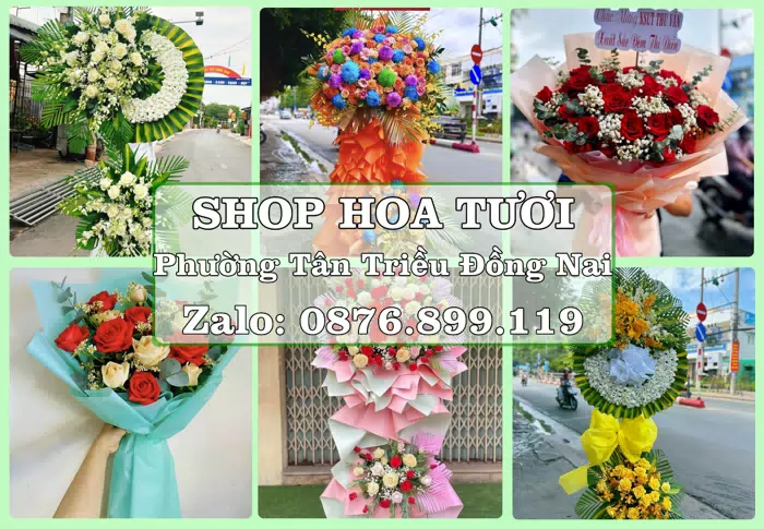 Shop hoa tươi tại Phường Tân Triều Đồng Nai – Tư vấn hoa và trái cây theo ngân sách · ảnh 1
