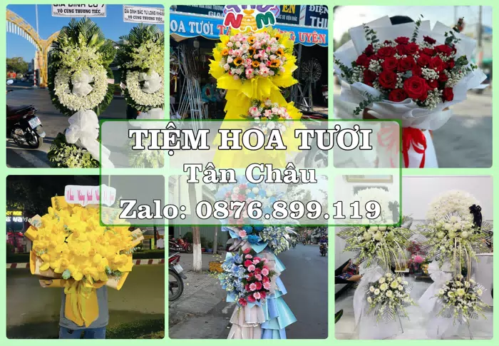 Shop hoa tươi tại Tân Châu – Hoa xinh, trái cây cho những dịp gần gũi · ảnh 1