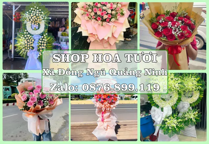 Shop hoa tươi tại Xã Đông Ngũ Quảng Ninh – Hoa chúc mừng, quà biếu theo nhu cầu · ảnh 1