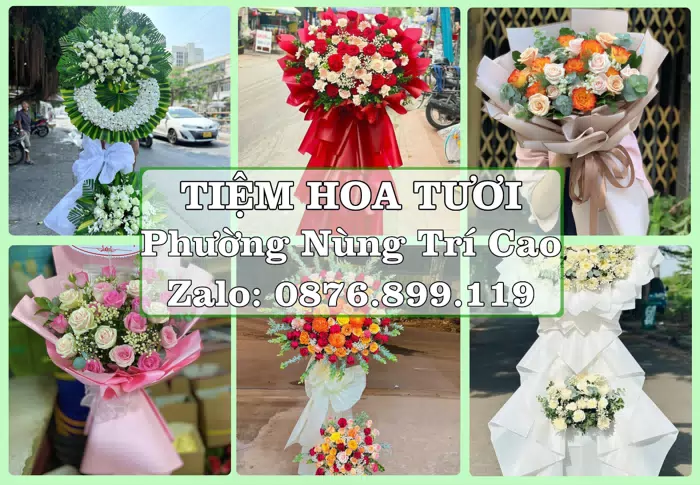 Shop hoa tươi tại Phường Nùng Trí Cao – Hoa tươi và trái cây, dễ chọn theo từng dịp · ảnh 1