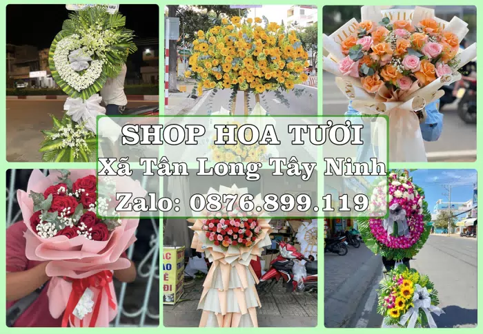 Shop hoa tươi tại Xã Tân Long Tây Ninh – Tìm món quà hợp dịp, hợp người nhận · ảnh 1