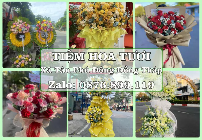 Shop hoa tươi tại Xã Tân Phú Đông Đồng Tháp – Tư vấn hoa và trái cây theo ngân sách · ảnh 1