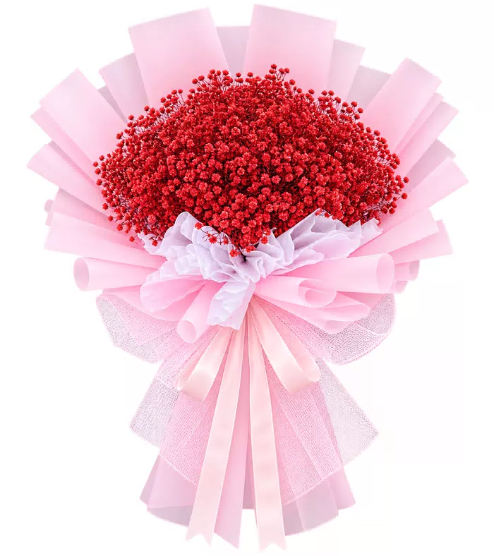 Nắng Mai – bó hoa baby đỏ giấy hồng