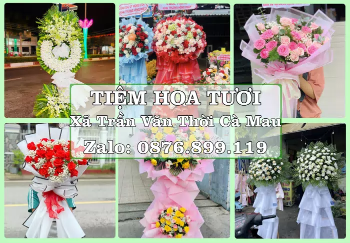 Shop hoa tươi tại Xã Trần Văn Thời Cà Mau – Tư vấn hoa và trái cây theo ngân sách · ảnh 1