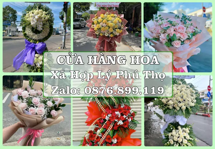 Shop hoa tươi tại Xã Hợp Lý Phú Thọ – Tư vấn hoa và trái cây theo ngân sách · ảnh 1