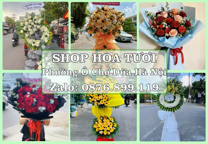 Shop hoa tươi tại Phường Ô Chợ Dừa Hà Nội – Tìm món quà hợp dịp, hợp người nhận · ảnh 1