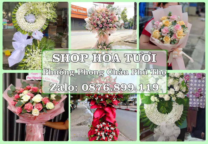 Shop hoa tươi tại Phường Phong Châu Phú Thọ – Từ bó hoa tặng đến giỏ trái cây biếu · ảnh 1