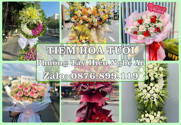 Shop hoa tươi tại Phường Tây Hiếu Nghệ An – Hoa chúc mừng, quà biếu theo nhu cầu · ảnh 1