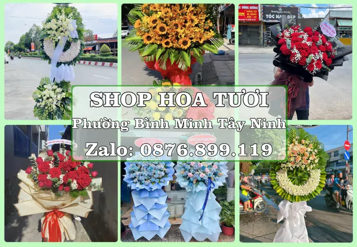 Shop hoa tươi tại Phường Bình Minh Tây Ninh – Chọn hoa, chọn giỏ quà thật chu đáo · ảnh 1