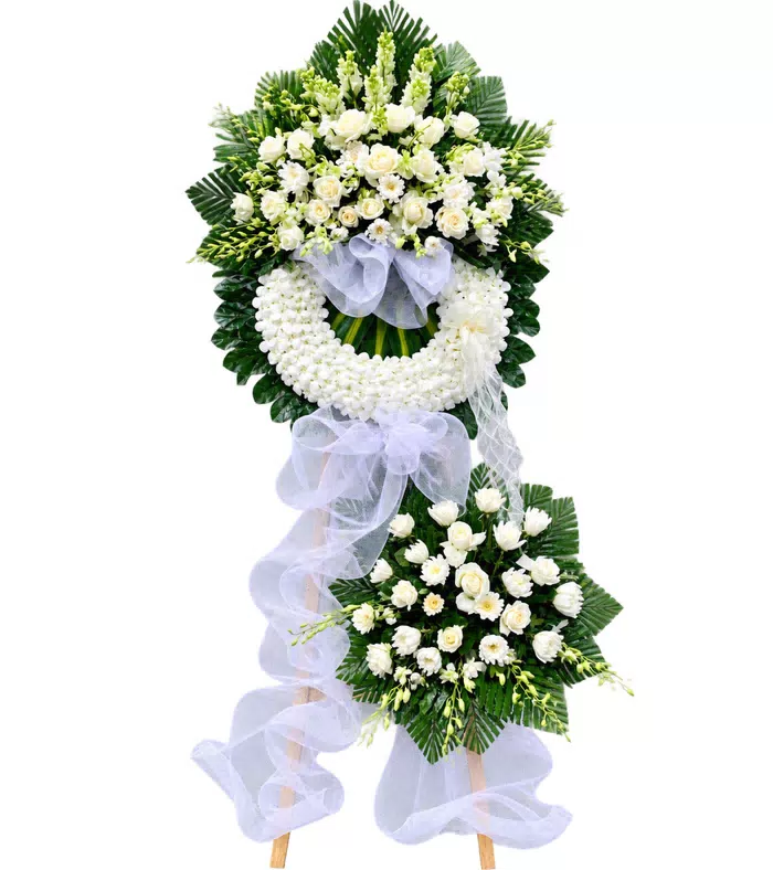 An Nhiên – kệ hoa phân ưu trắng xanh · 1302