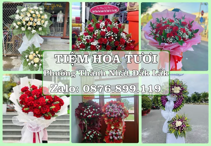 Shop hoa tươi tại Phường Thành Nhất Đắk Lắk – Hoa chúc mừng, quà biếu theo nhu cầu · ảnh 1