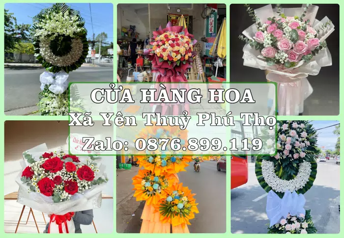 Shop hoa tươi tại Xã Yên Thuỷ Phú Thọ – Gửi lời quan tâm bằng hoa và trái cây · ảnh 1