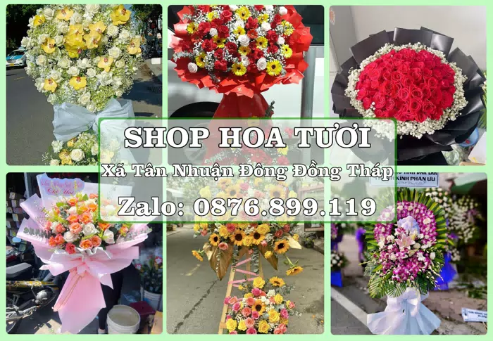 Shop hoa tươi tại Xã Tân Nhuận Đông Đồng Tháp – Tư vấn hoa và trái cây theo ngân sách · ảnh 1