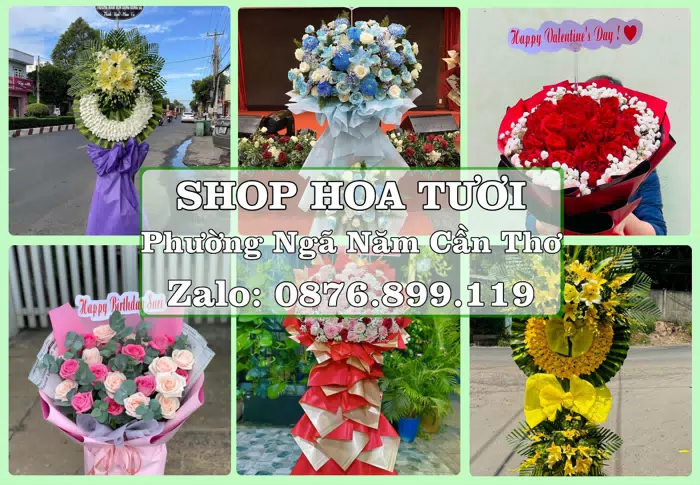 Shop hoa tươi tại Phường Ngã Năm Cần Thơ – Chọn hoa, chọn giỏ quà thật chu đáo · ảnh 1