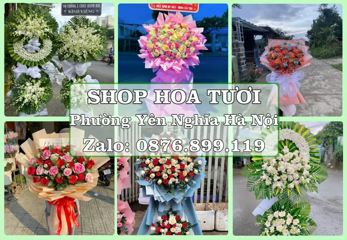 Shop hoa tươi tại Phường Yên Nghĩa Hà Nội – Tư vấn hoa và trái cây theo ngân sách · ảnh 1