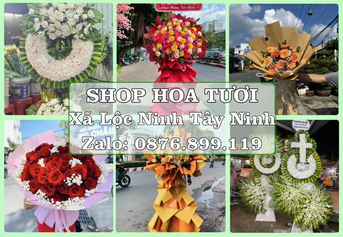Shop hoa tươi tại Xã Lộc Ninh Tây Ninh – Hoa chúc mừng, quà biếu theo nhu cầu · ảnh 1