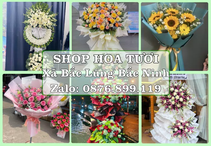 Shop hoa tươi tại Xã Bắc Lũng Bắc Ninh – Tìm món quà hợp dịp, hợp người nhận · ảnh 1