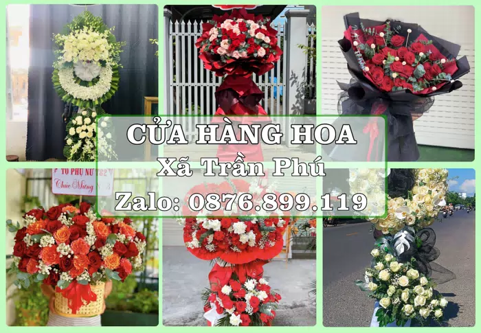 Shop hoa tươi tại Xã Trần Phú – Tìm món quà hợp dịp, hợp người nhận · ảnh 1