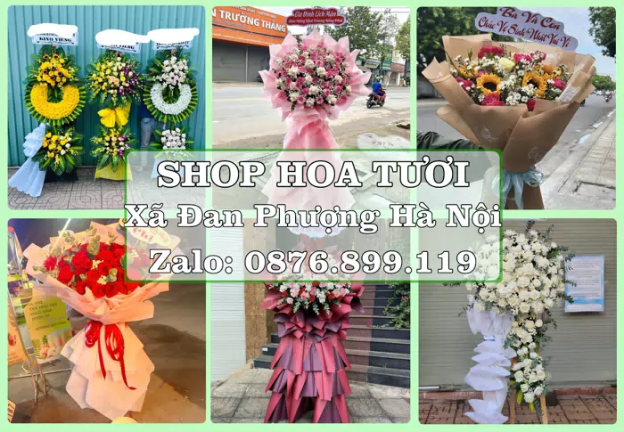 Shop hoa tươi tại Xã Đan Phượng Hà Nội – Hoa chúc mừng, quà biếu theo nhu cầu · ảnh 1