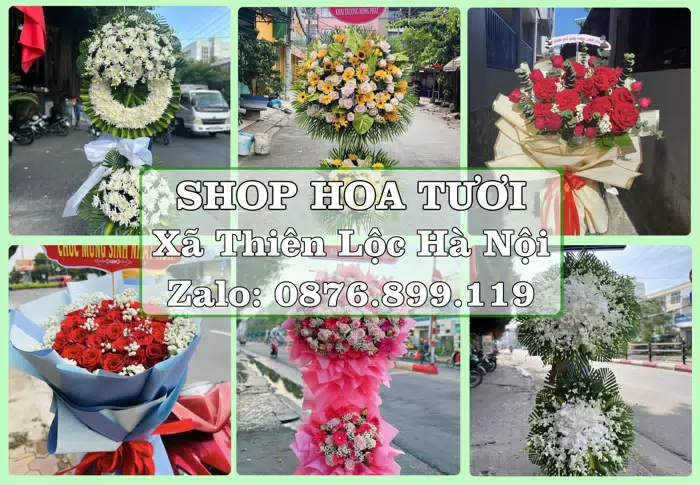 Shop hoa tươi tại Xã Thiên Lộc Hà Nội – Tư vấn hoa và trái cây theo ngân sách · ảnh 1