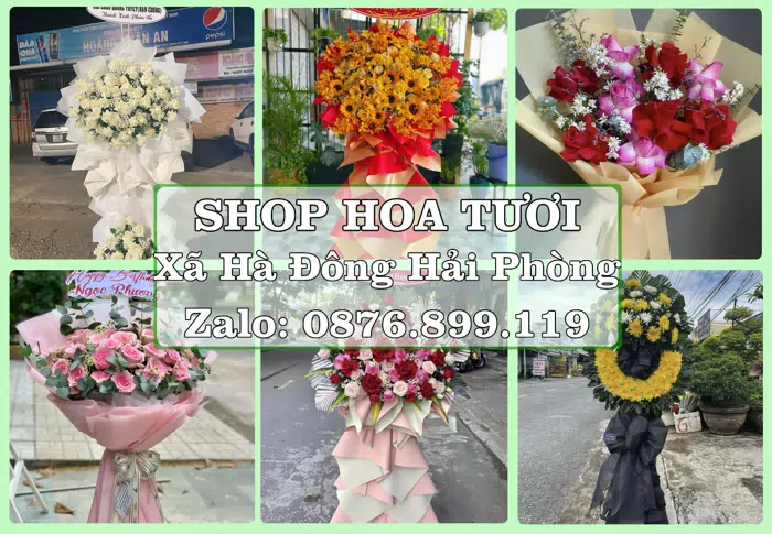 Shop hoa tươi tại Xã Hà Đông Hải Phòng – Tư vấn hoa và trái cây theo ngân sách · ảnh 1