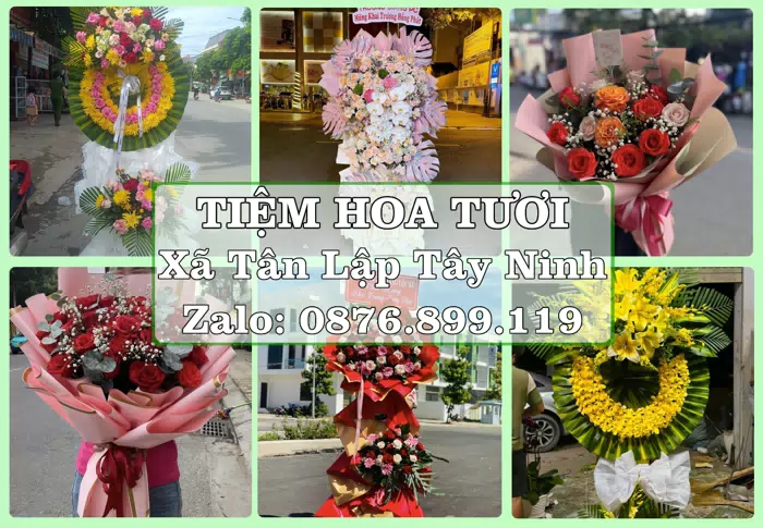 Shop hoa tươi tại Xã Tân Lập Tây Ninh – Đặt quà gửi người thân từ xa · ảnh 1
