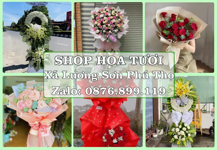 Shop hoa tươi tại Xã Lương Sơn Phú Thọ – Hoa xinh, trái cây cho những dịp gần gũi · ảnh 1