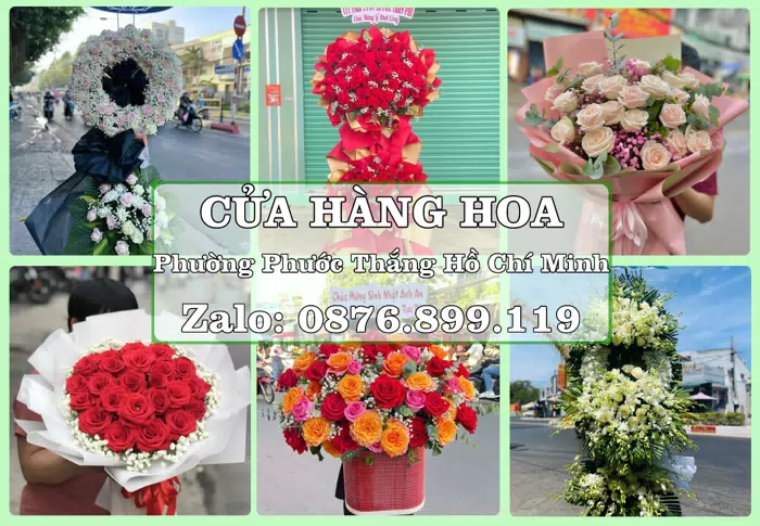 Shop hoa tươi tại Phường Phước Thắng Hồ Chí Minh – Tư vấn hoa và trái cây theo ngân sách · ảnh 1