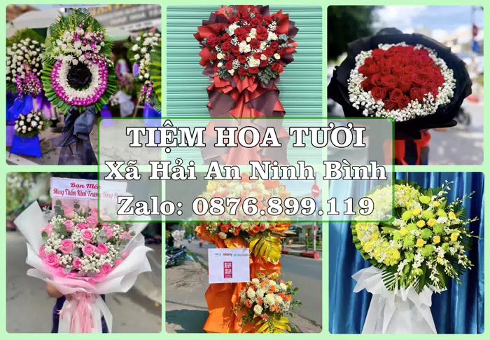 Shop hoa tươi tại Xã Hải An Ninh Bình – Món quà chỉn chu từ những điều nhỏ · ảnh 1