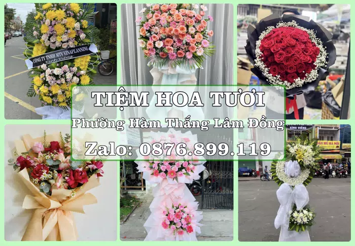 Shop hoa tươi tại Phường Hàm Thắng Lâm Đồng – Hoa chúc mừng, quà biếu theo nhu cầu · ảnh 1