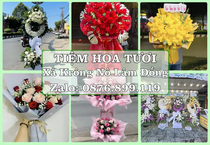 Shop hoa tươi tại Xã Krông Nô Lâm Đồng – Chọn hoa, chọn giỏ quà thật chu đáo · ảnh 1