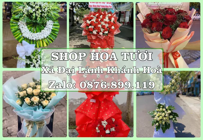 Shop hoa tươi tại Xã Đại Lãnh Khánh Hoà – Tư vấn hoa và trái cây theo ngân sách · ảnh 1